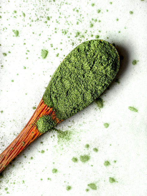 The Top 10 Benefits of Super Greens Powders – Coconut Greens