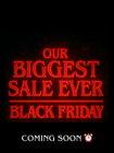 Our Biggest Sale — Black Friday 2025